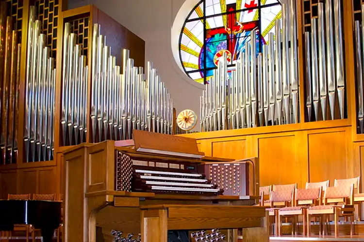 organ image